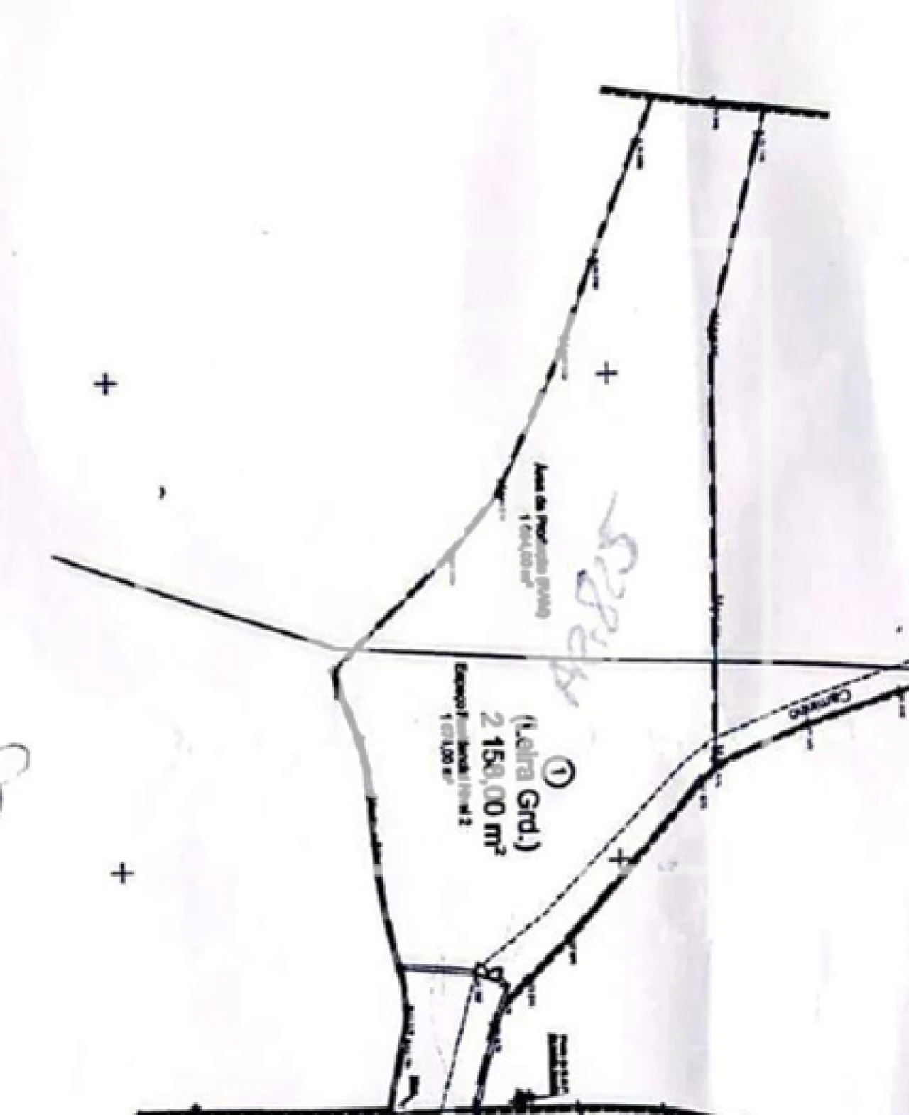 Terreno para Venda em Alheira e Igreja Nova Foto 10