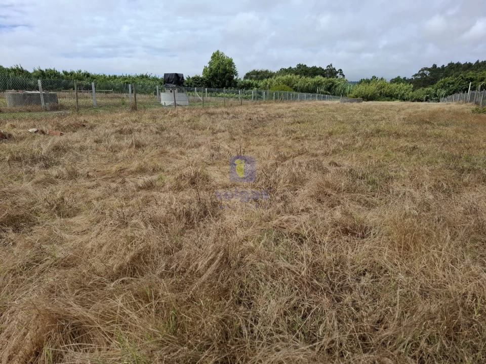 Terreno para Venda em Alfeizerão Foto 5