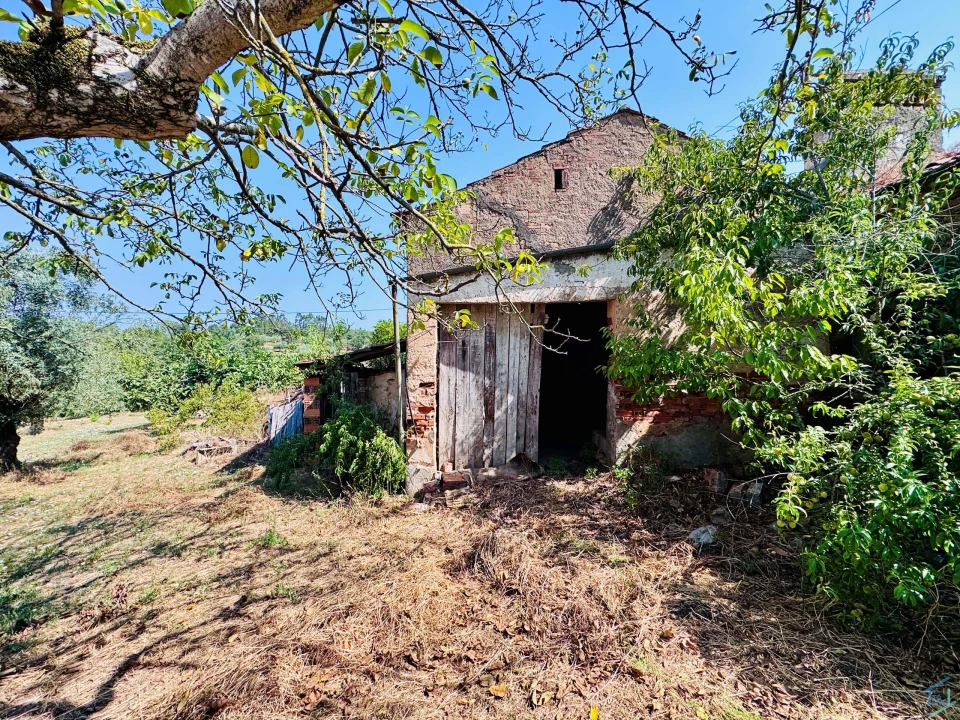 Terreno para Venda em Casais e Alviobeira Foto 65