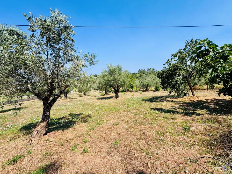 Terreno para Venda em Casais e Alviobeira Foto 40