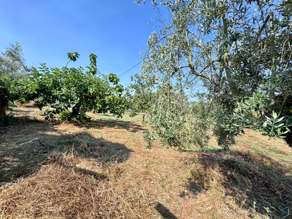 Terreno para Venda em Casais e Alviobeira Foto 25