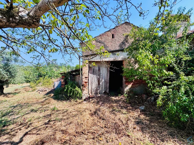 Terreno para Venda em Casais e Alviobeira Foto 65
