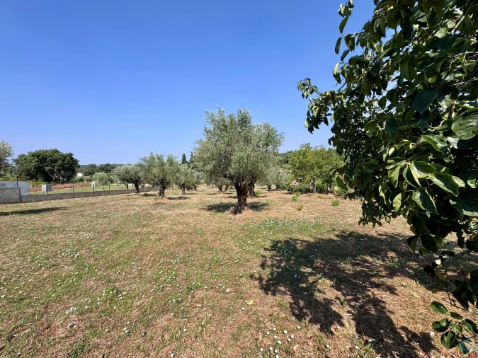 Terreno para Venda em Casais e Alviobeira Foto 39