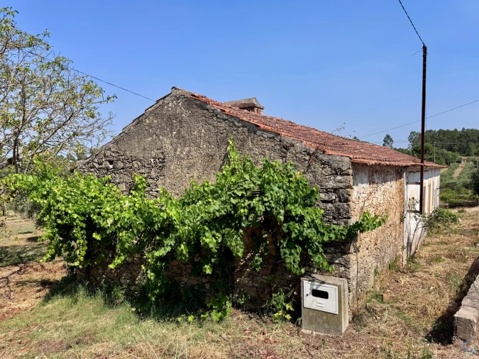 Terreno para Venda em Casais e Alviobeira Foto 68