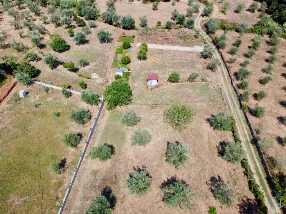 Terreno para Venda em Casais e Alviobeira Foto 6