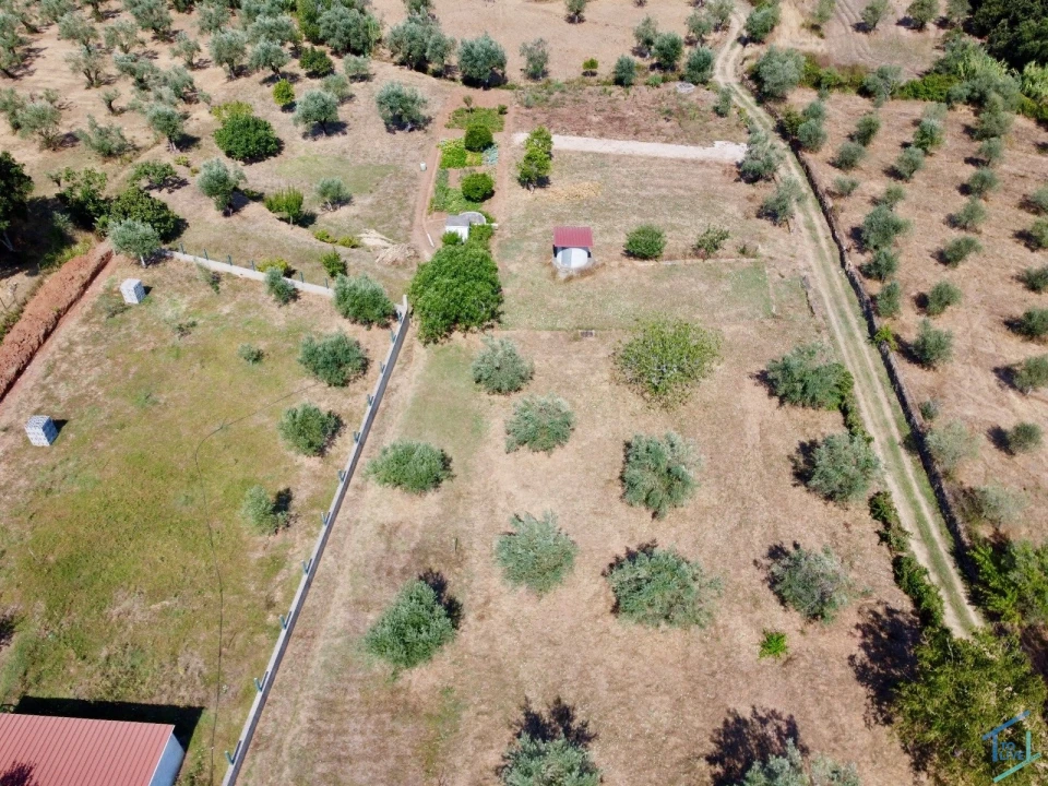 Terreno para Venda em Casais e Alviobeira Foto 4