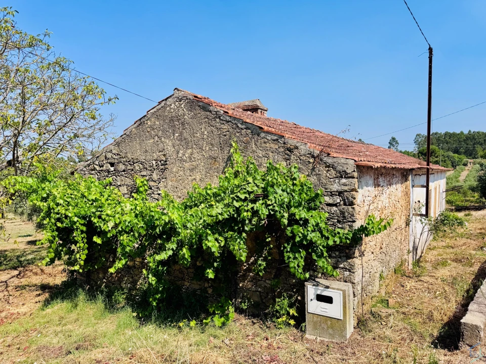 Terreno para Venda em Casais e Alviobeira Foto 67