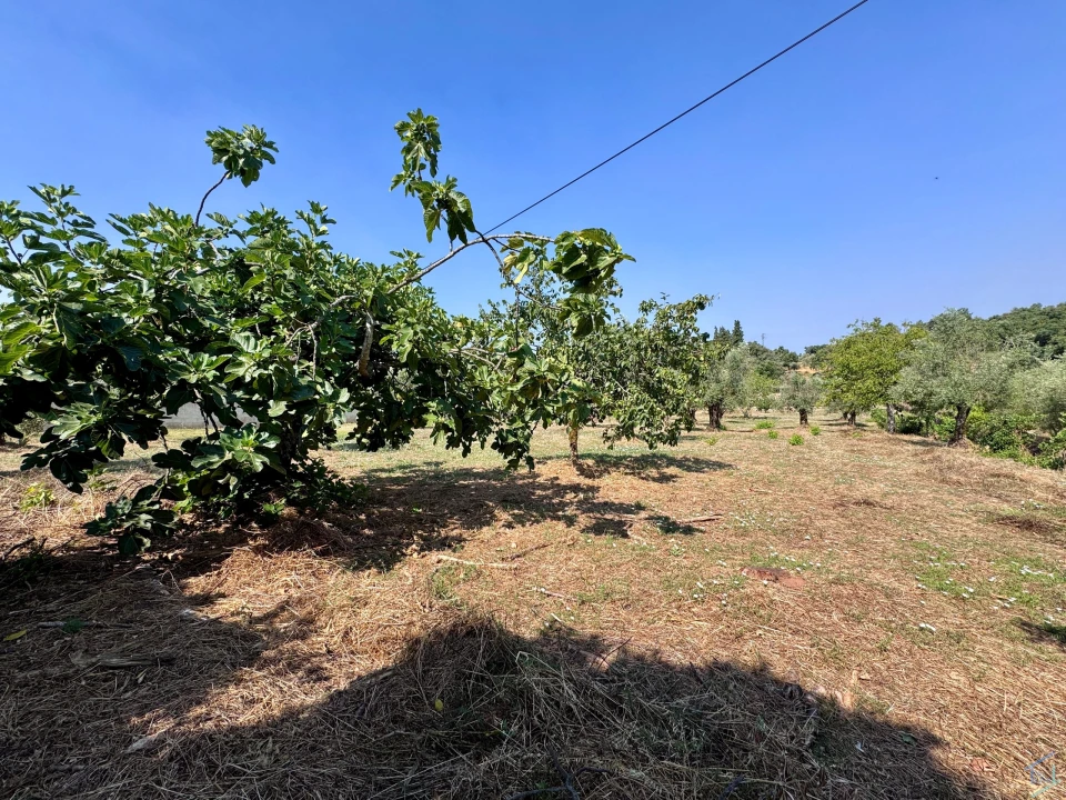 Terreno para Venda em Casais e Alviobeira Foto 28