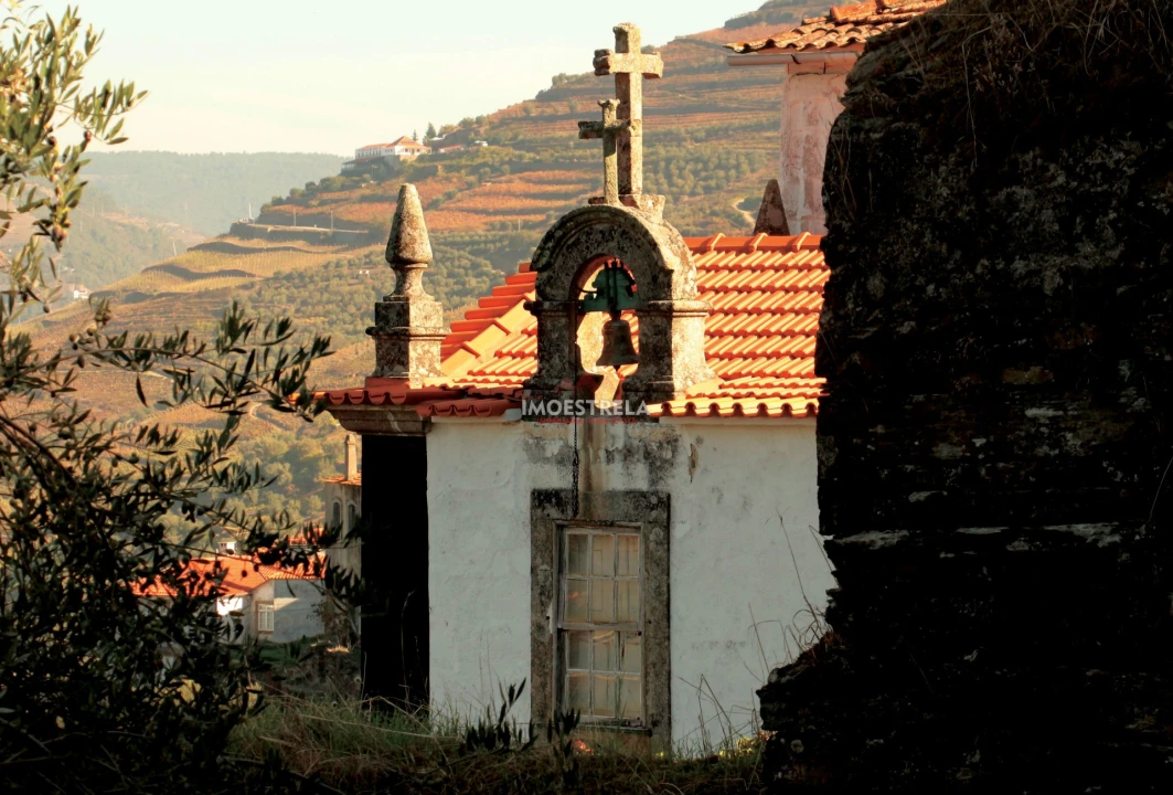 Quinta T6 para Venda em Vilarinho dos Freires Foto 21