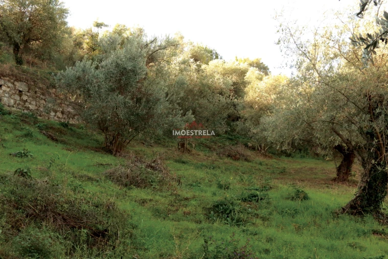 Quinta T6 para Venda em Vilarinho dos Freires Foto 20