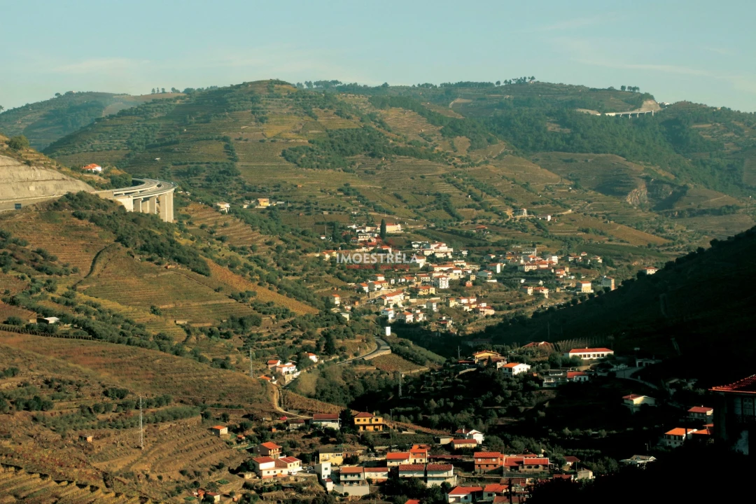 Quinta T6 para Venda em Vilarinho dos Freires Foto 22