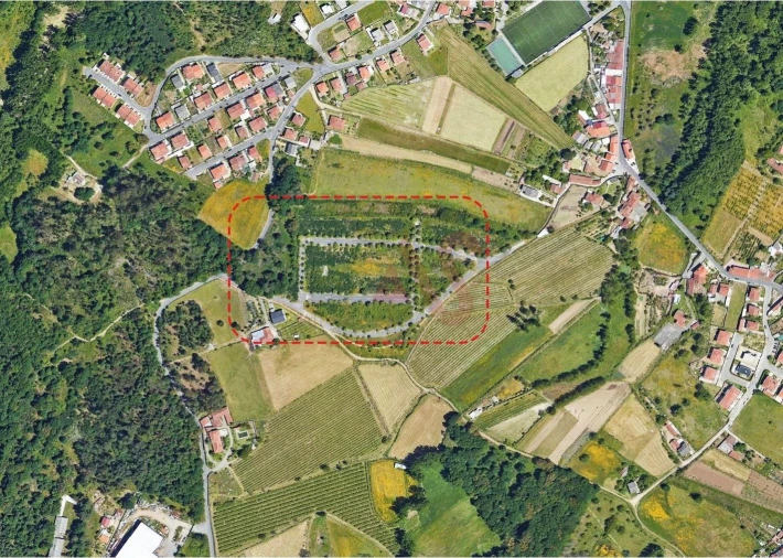 Moradia T3 para Venda em Palmeira Foto 13