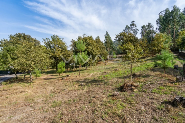 Terreno para Venda em Souto Foto 6