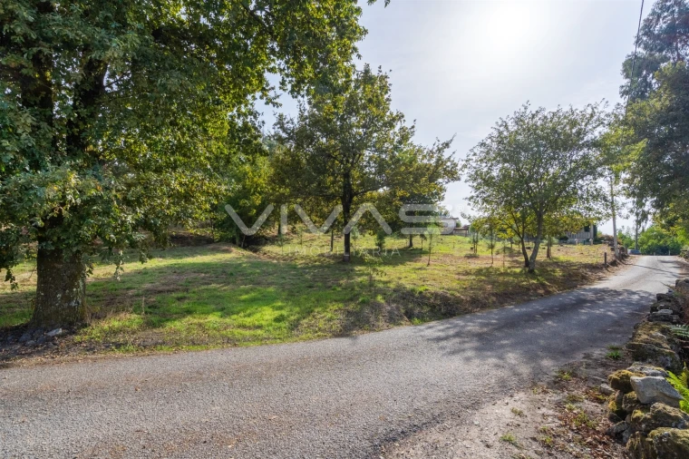 Terreno para Venda em Souto Foto 8