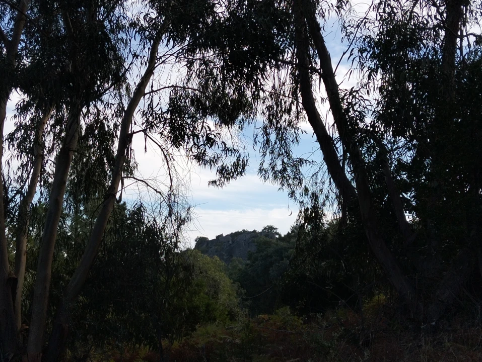 Quinta T6 para Venda em Santa Maria de Marvão Foto 17