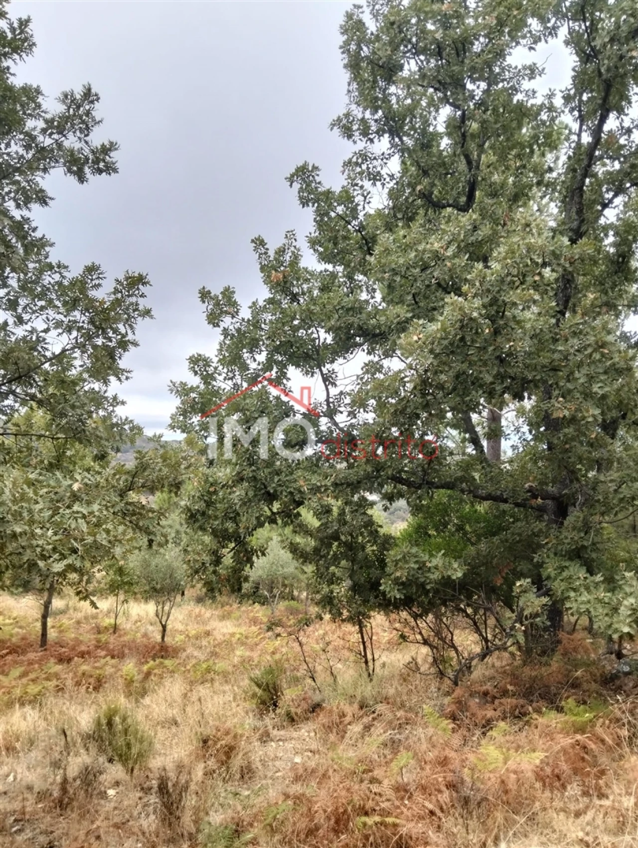 Quinta T6 para Venda em Santa Maria de Marvão Foto 15
