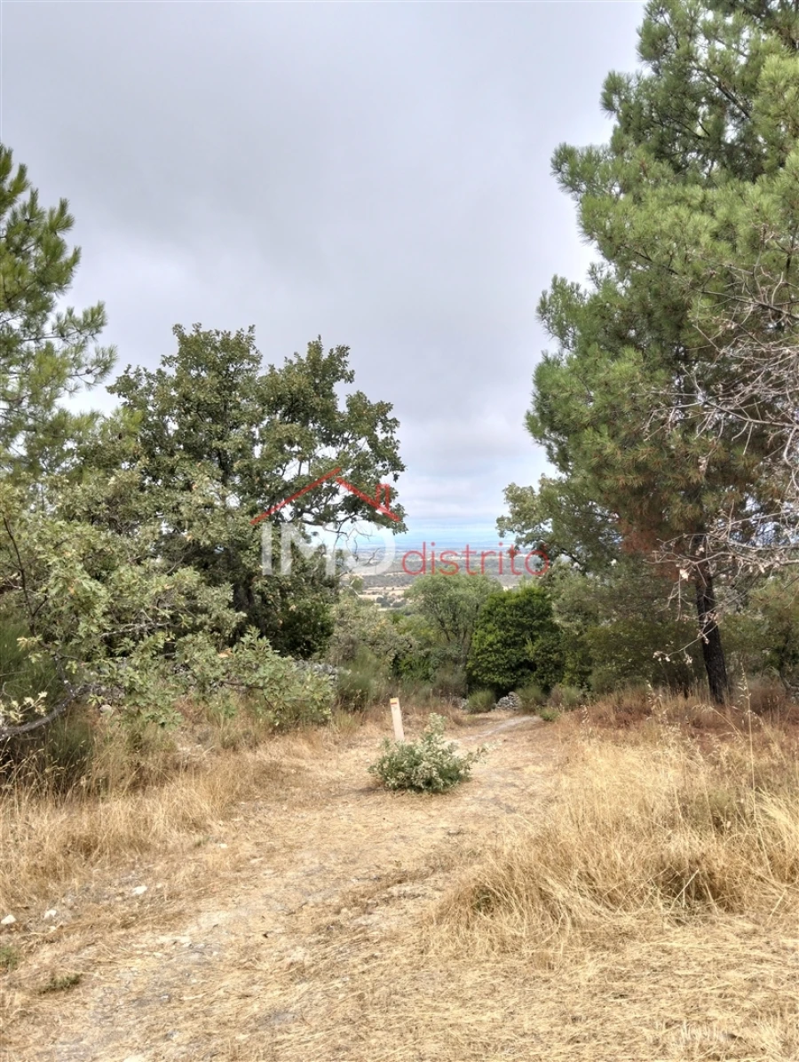Quinta T6 para Venda em Santa Maria de Marvão Foto 13