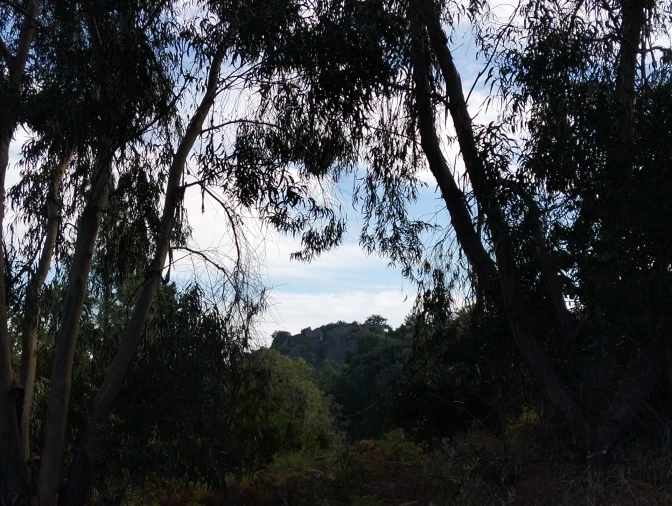 Quinta T6 para Venda em Santa Maria de Marvão Foto 17