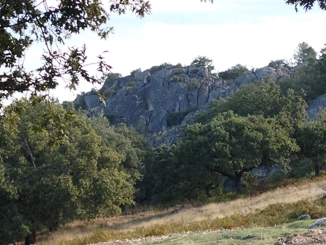 Quinta T6 para Venda em Santa Maria de Marvão Foto 18