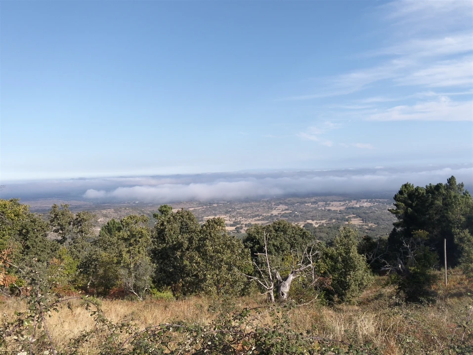 Quinta T6 para Venda em Santa Maria de Marvão Foto 16