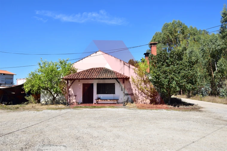 Negócio para Arrendamento em Mouronho