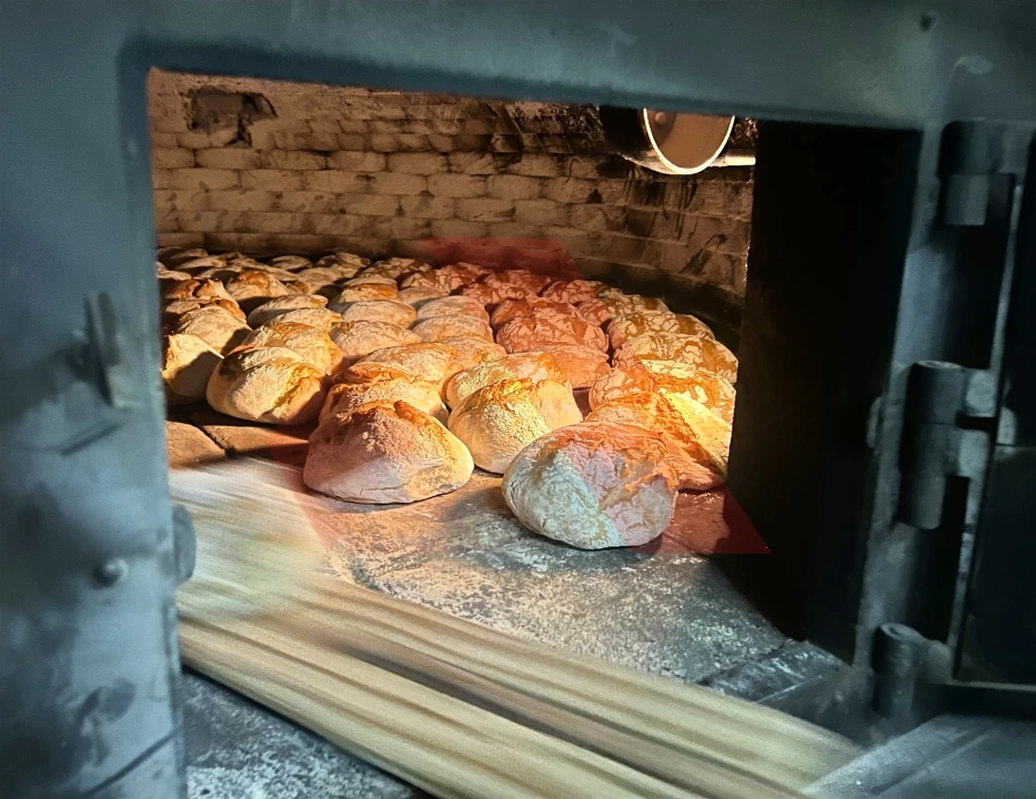 Negócio para Arrendamento em Mouronho Foto 8