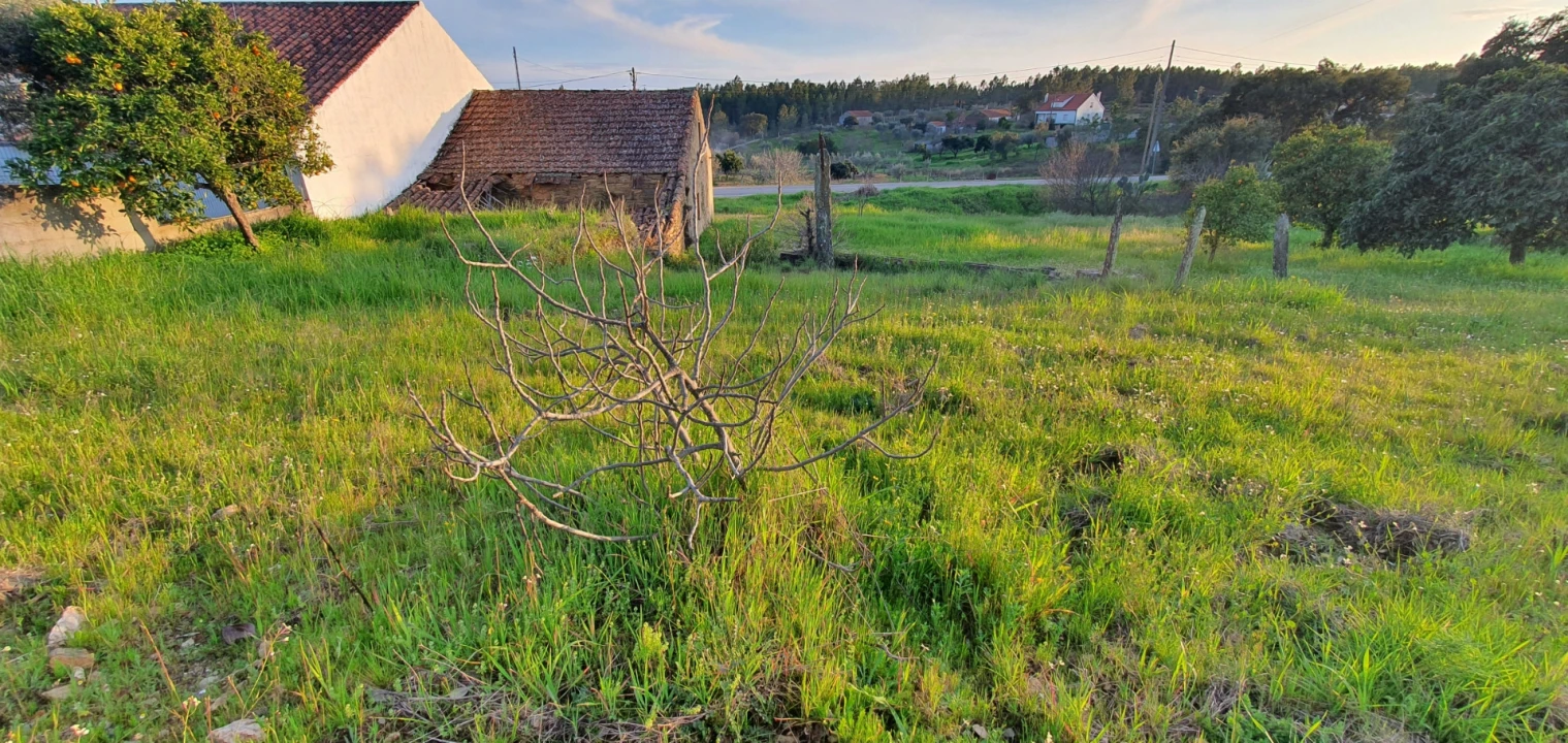 Moradia T2 para Venda em Sarzedas Foto 23