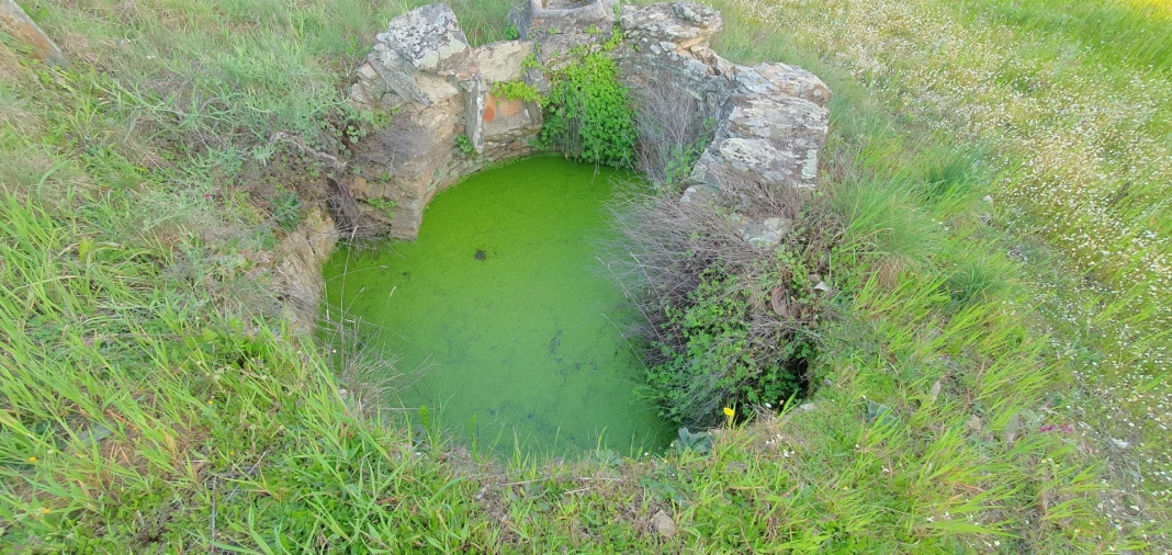 Moradia T2 para Venda em Sarzedas Foto 24