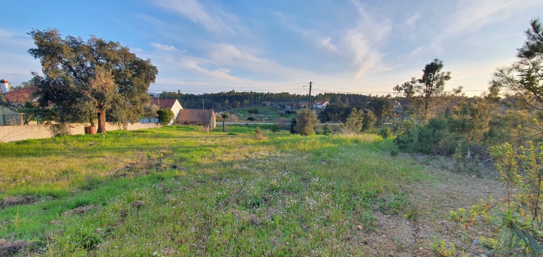 Moradia T2 para Venda em Sarzedas Foto 21