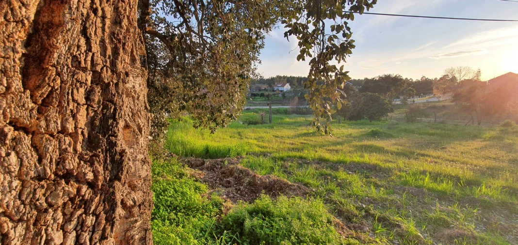 Moradia T2 para Venda em Sarzedas Foto 22