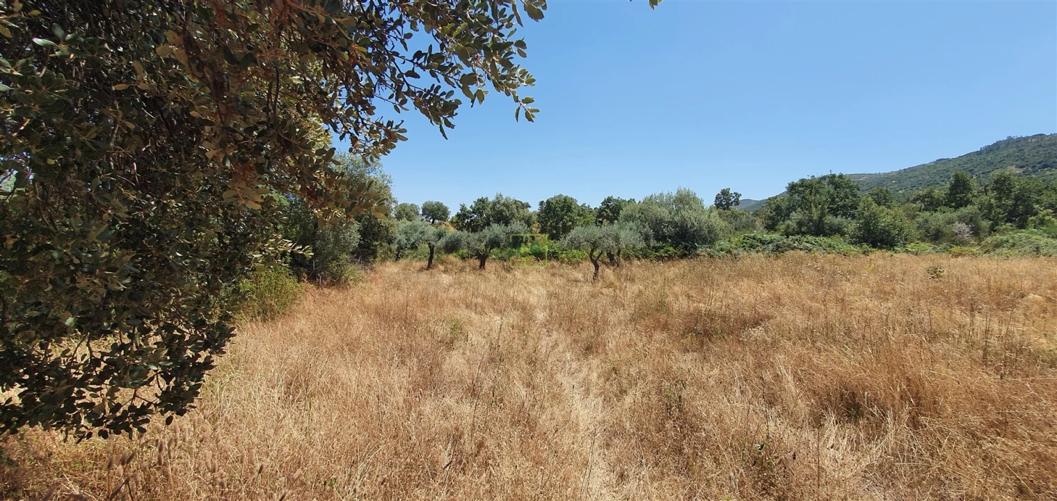 Terreno Agricola ou Rústico para Venda em Aranhas Foto 22
