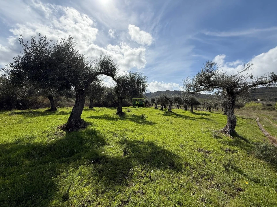 Terreno Agricola ou Rústico para Venda em Aranhas Foto 36