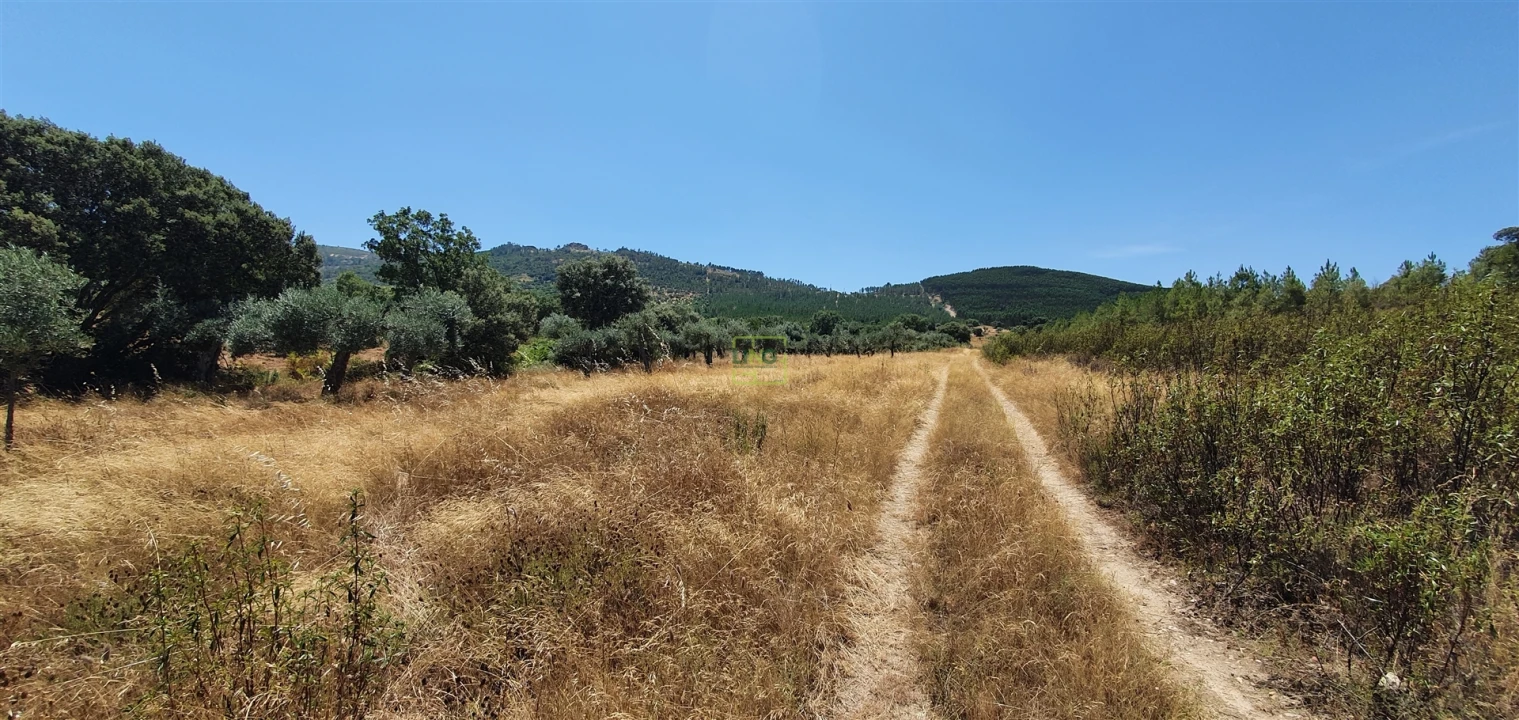 Terreno Agricola ou Rústico para Venda em Aranhas Foto 21