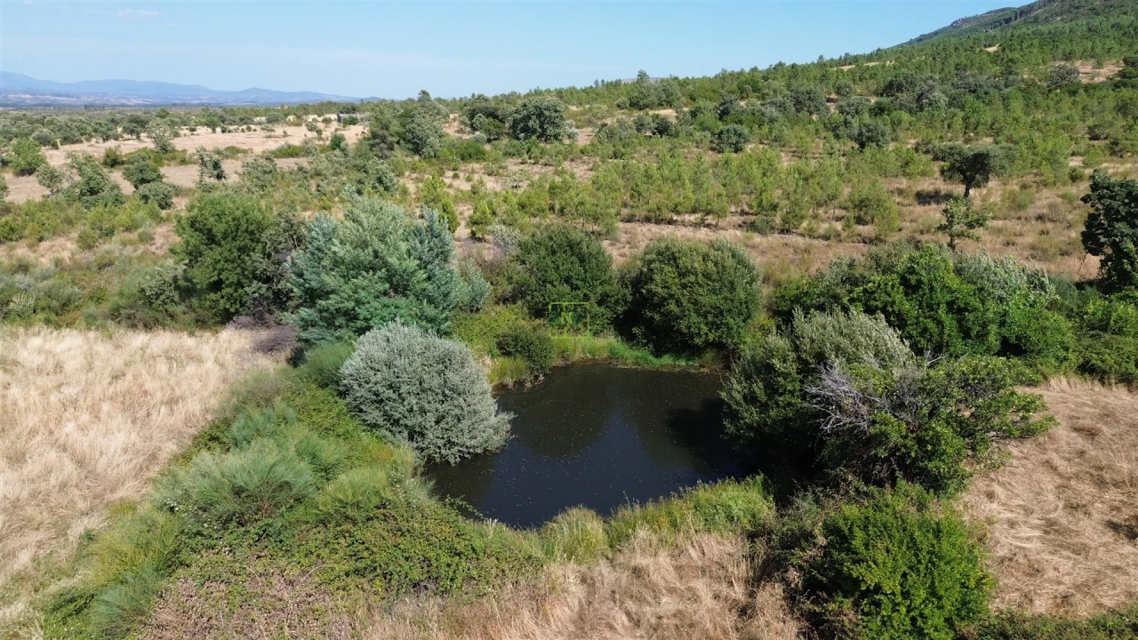 Terreno Agricola ou Rústico para Venda em Aranhas Foto 33