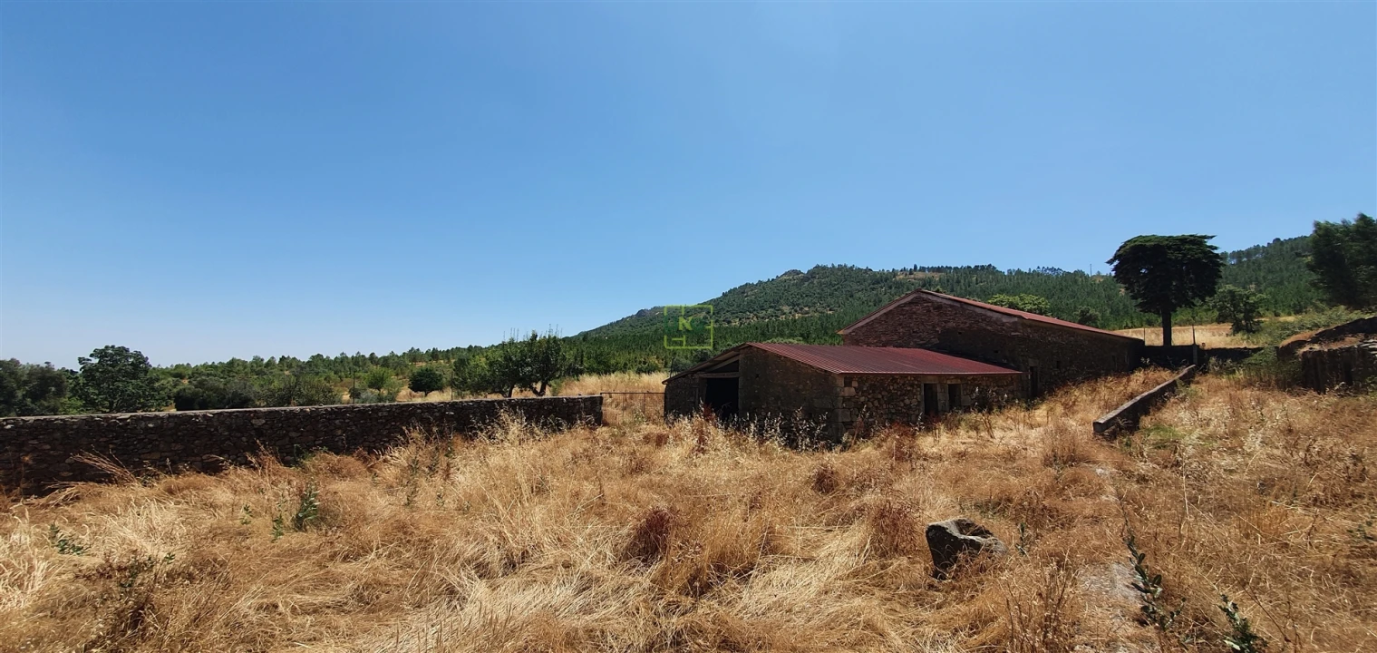 Terreno Agricola ou Rústico para Venda em Aranhas Foto 6