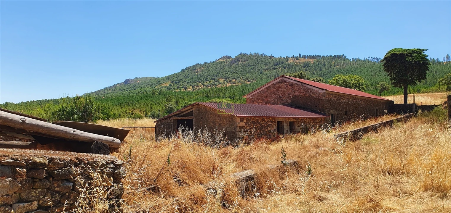 Terreno Agricola ou Rústico para Venda em Aranhas Foto 10