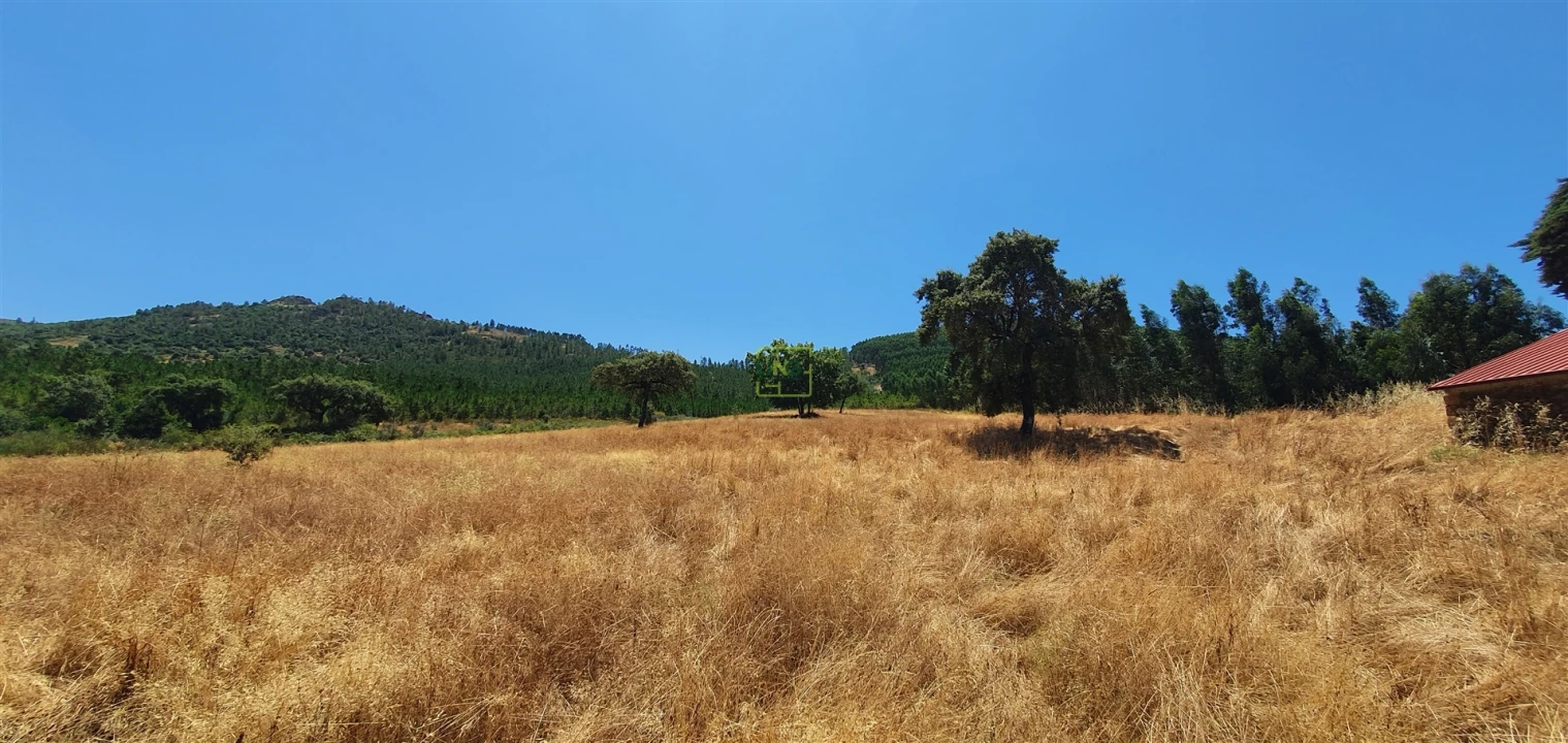 Terreno Agricola ou Rústico para Venda em Aranhas Foto 26
