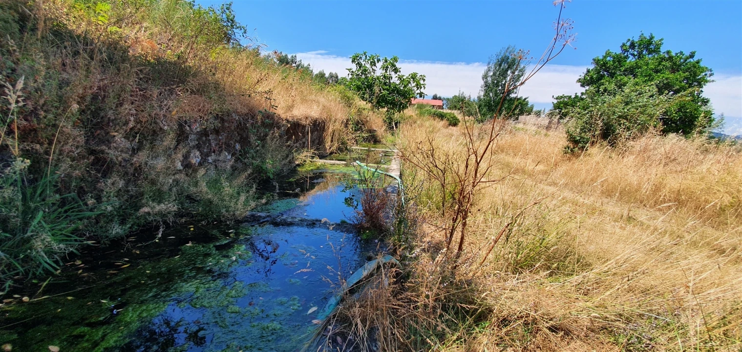 Terreno Agricola ou Rústico para Venda em Aranhas Foto 17