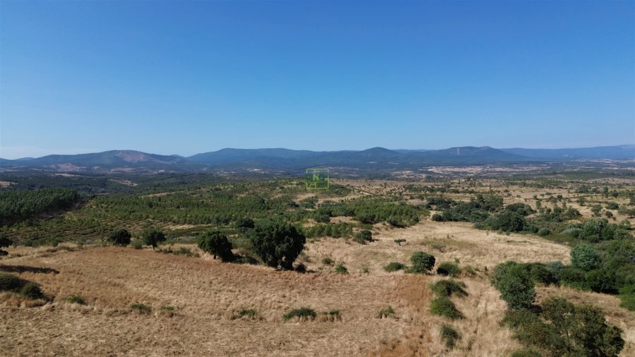 Terreno Agricola ou Rústico para Venda em Aranhas Foto 35