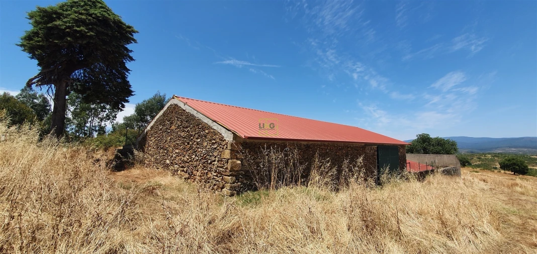Terreno Agricola ou Rústico para Venda em Aranhas Foto 2