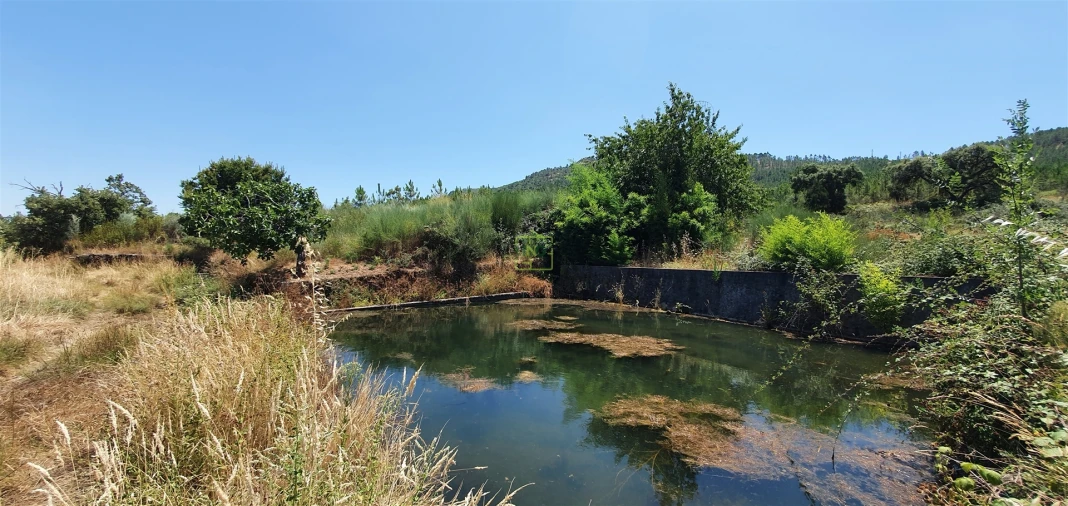 Terreno Agricola ou Rústico para Venda em Aranhas Foto 13