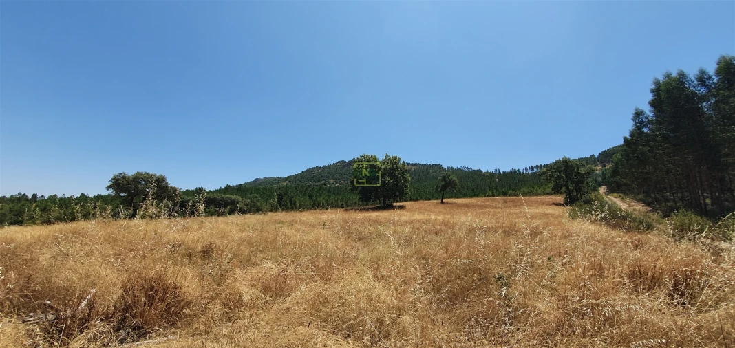 Terreno Agricola ou Rústico para Venda em Aranhas Foto 25