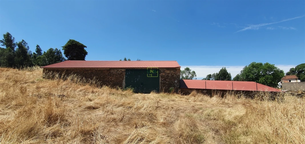 Terreno Agricola ou Rústico para Venda em Aranhas Foto 4