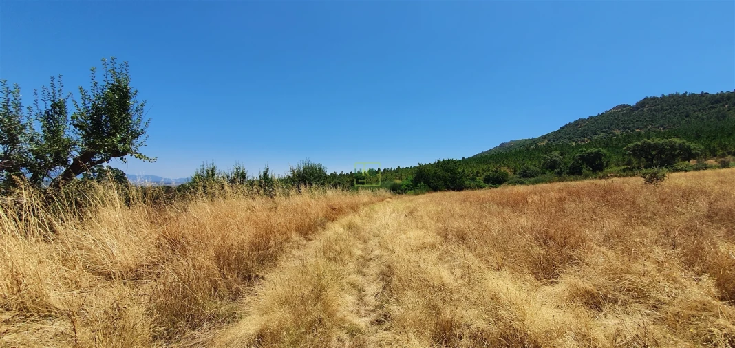 Terreno Agricola ou Rústico para Venda em Aranhas Foto 28