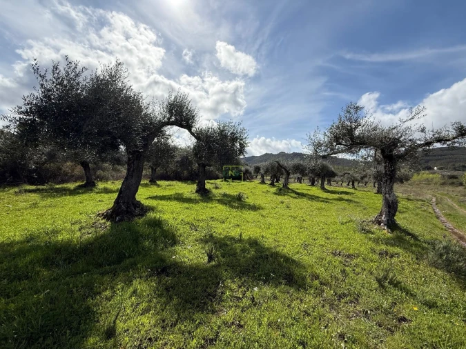 Terreno Agricola ou Rústico para Venda em Aranhas Foto 36