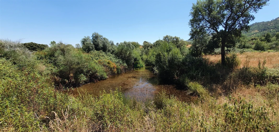 Terreno Agricola ou Rústico para Venda em Aranhas Foto 20