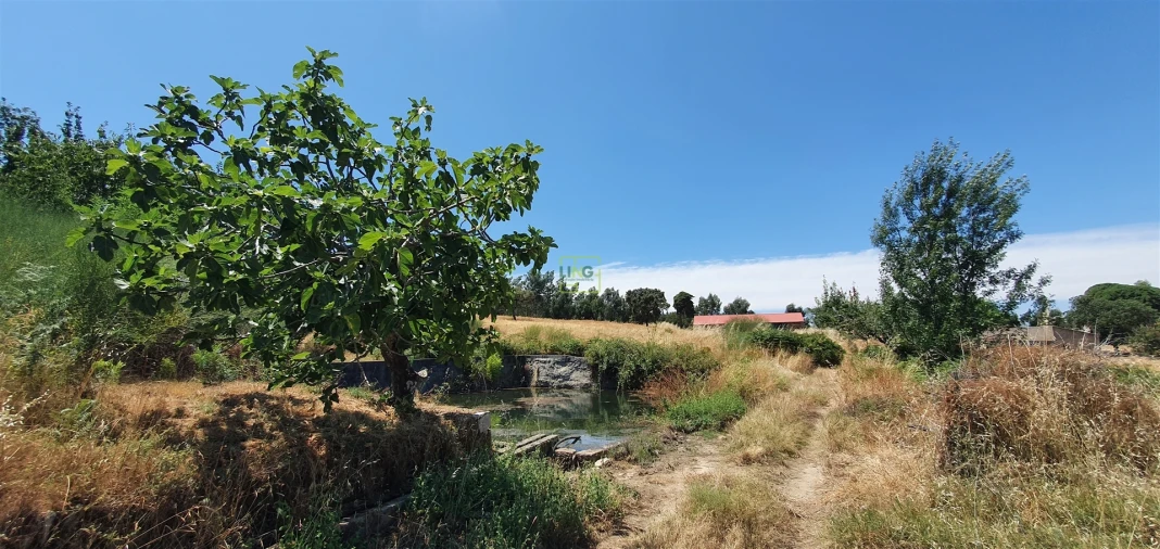 Terreno Agricola ou Rústico para Venda em Aranhas Foto 18