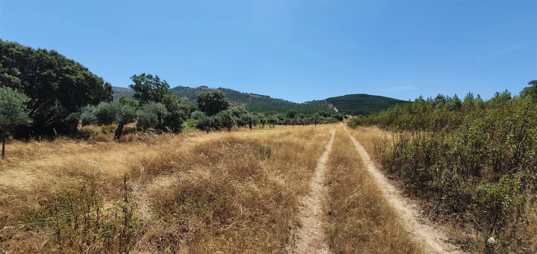 Terreno Agricola ou Rústico para Venda em Aranhas Foto 21