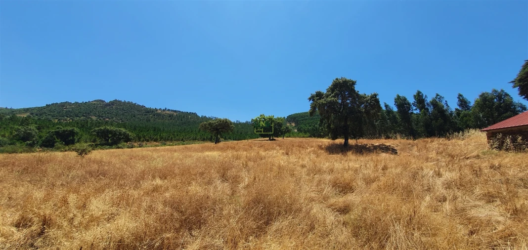 Terreno Agricola ou Rústico para Venda em Aranhas Foto 26
