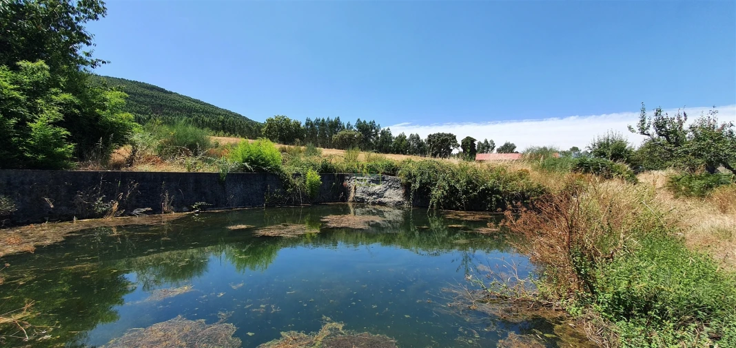 Terreno Agricola ou Rústico para Venda em Aranhas Foto 16